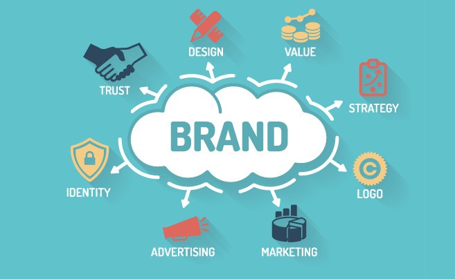 Brand infographic showing logo design and graphic design elements on blue background by disitinctive designs