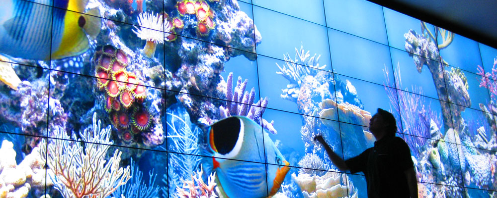 6 Digital Signage trends for 2026 in Brisbane